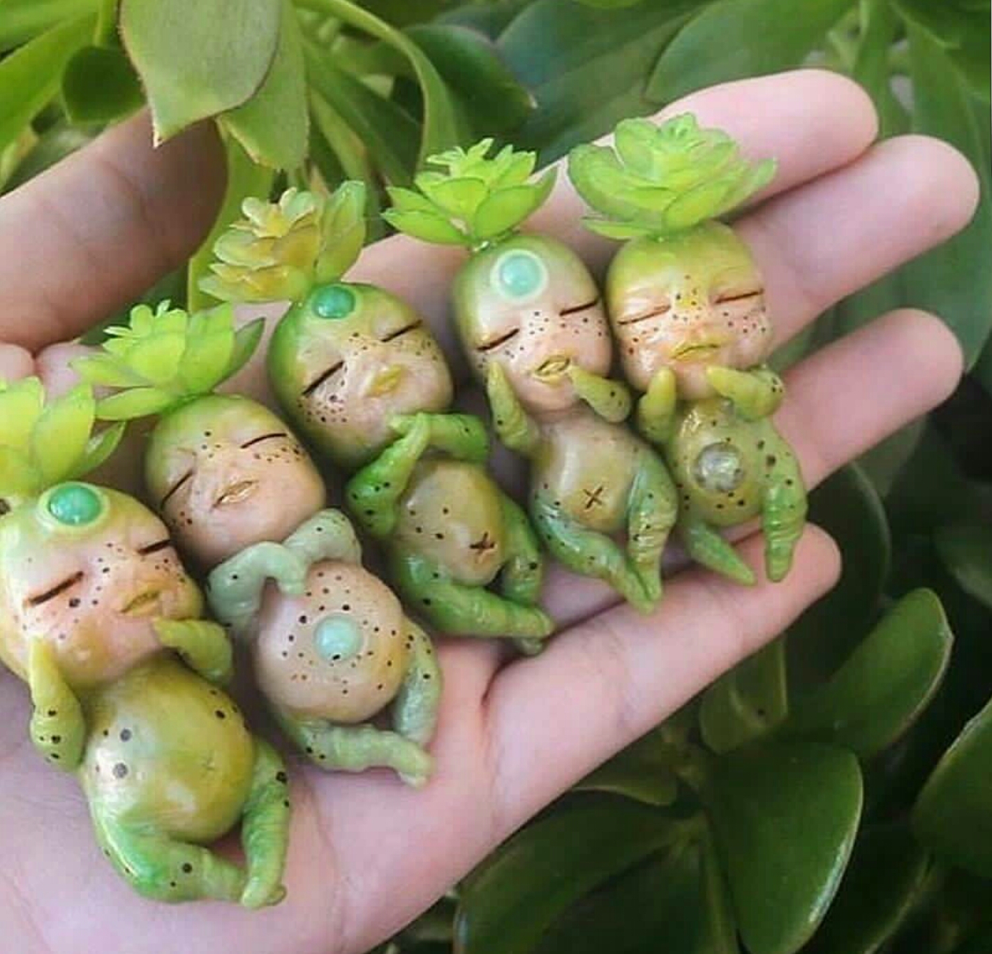 North Fork Boutique Gardens Mattituck