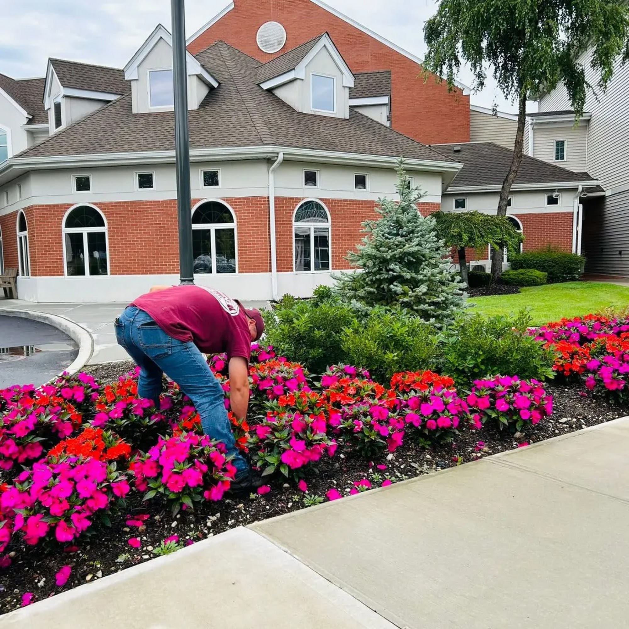 Fiorini Landscape - Commercial Landscaping 124 Half Hollow Rd, Melville New York 11747