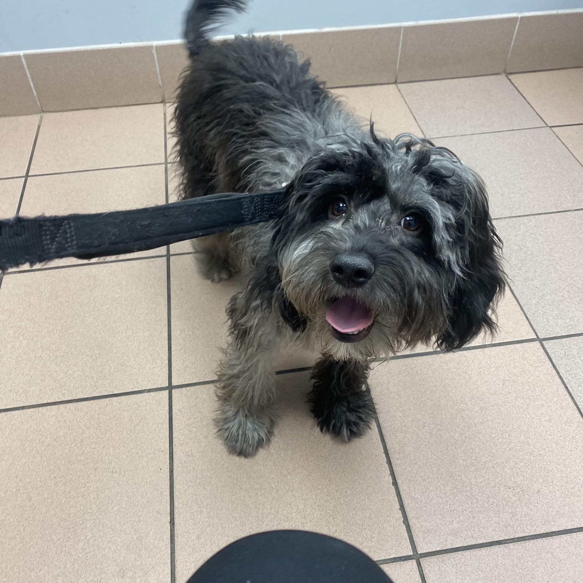 East Bay Veterinary Hospital Merrick