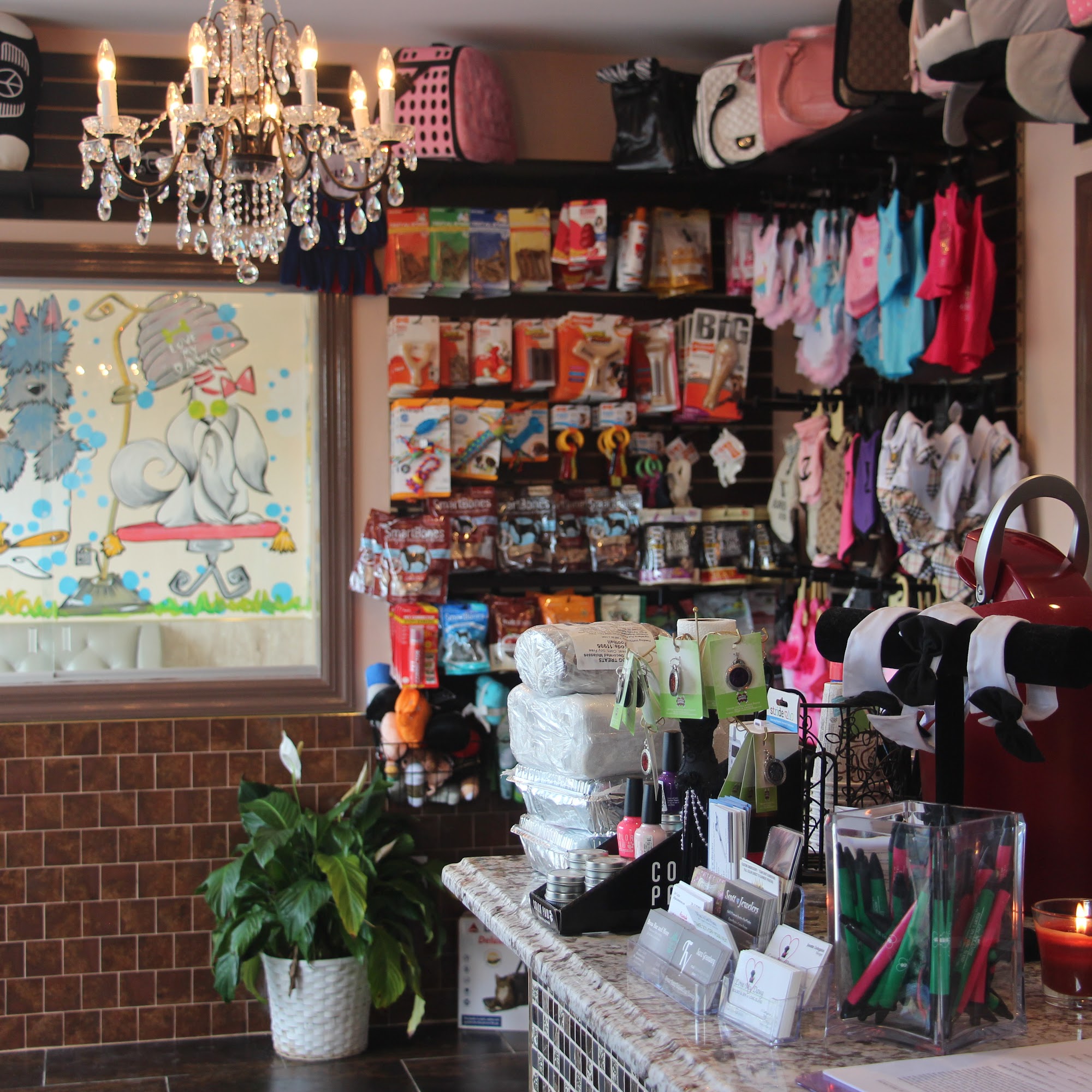 Love My Dawg Resort & Spa | DOG / CAT GROOMING & BOARDING Merrick