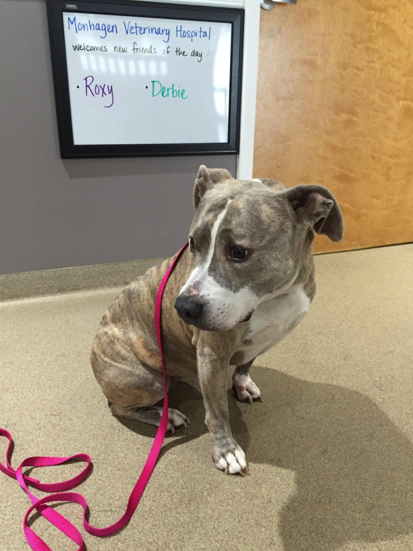 Monhagen Veterinary Hospital Middletown