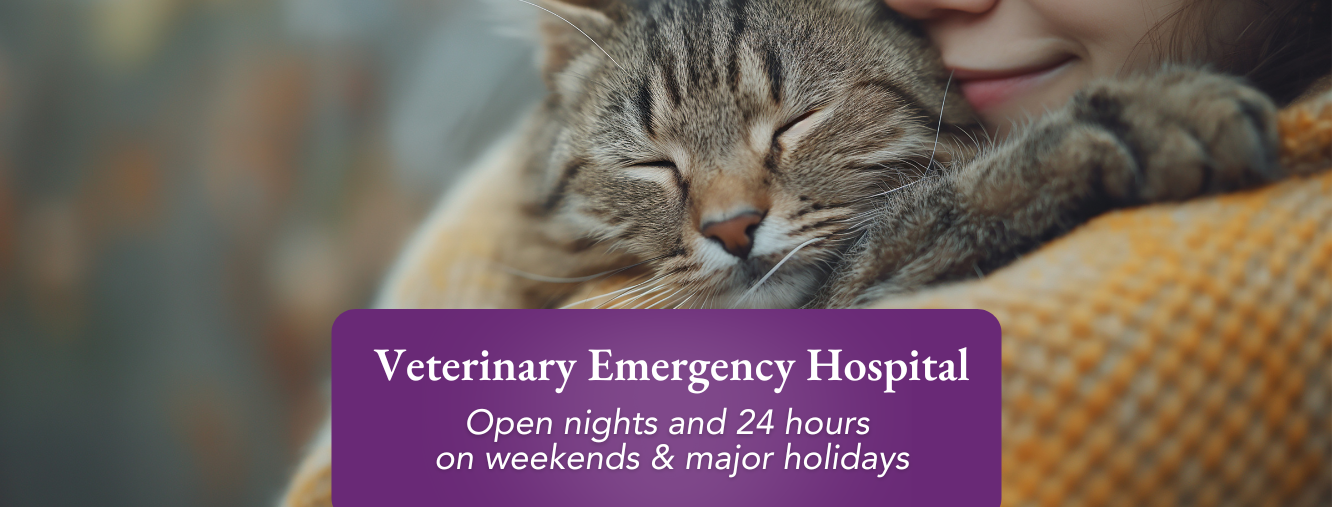 Guardian Veterinary Emergency Middletown