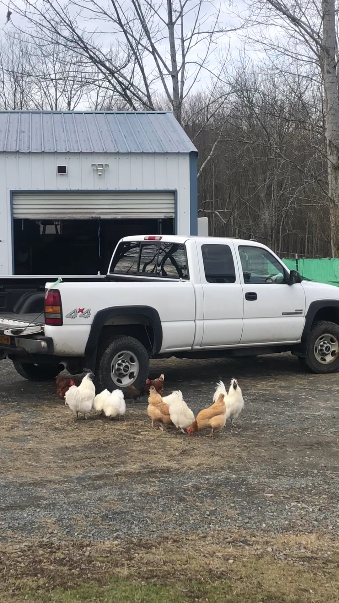 GilLikays Pet Getaway Middletown