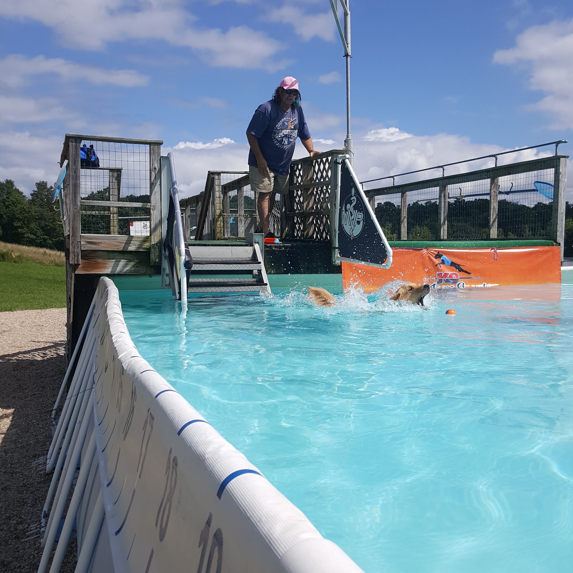 Ledgewood Boarding Kennels Ltd Millerton