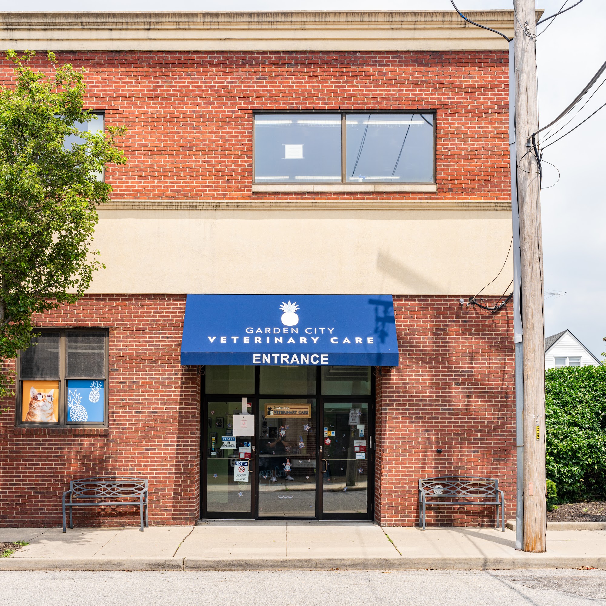 Garden City Veterinary Care Mineola
