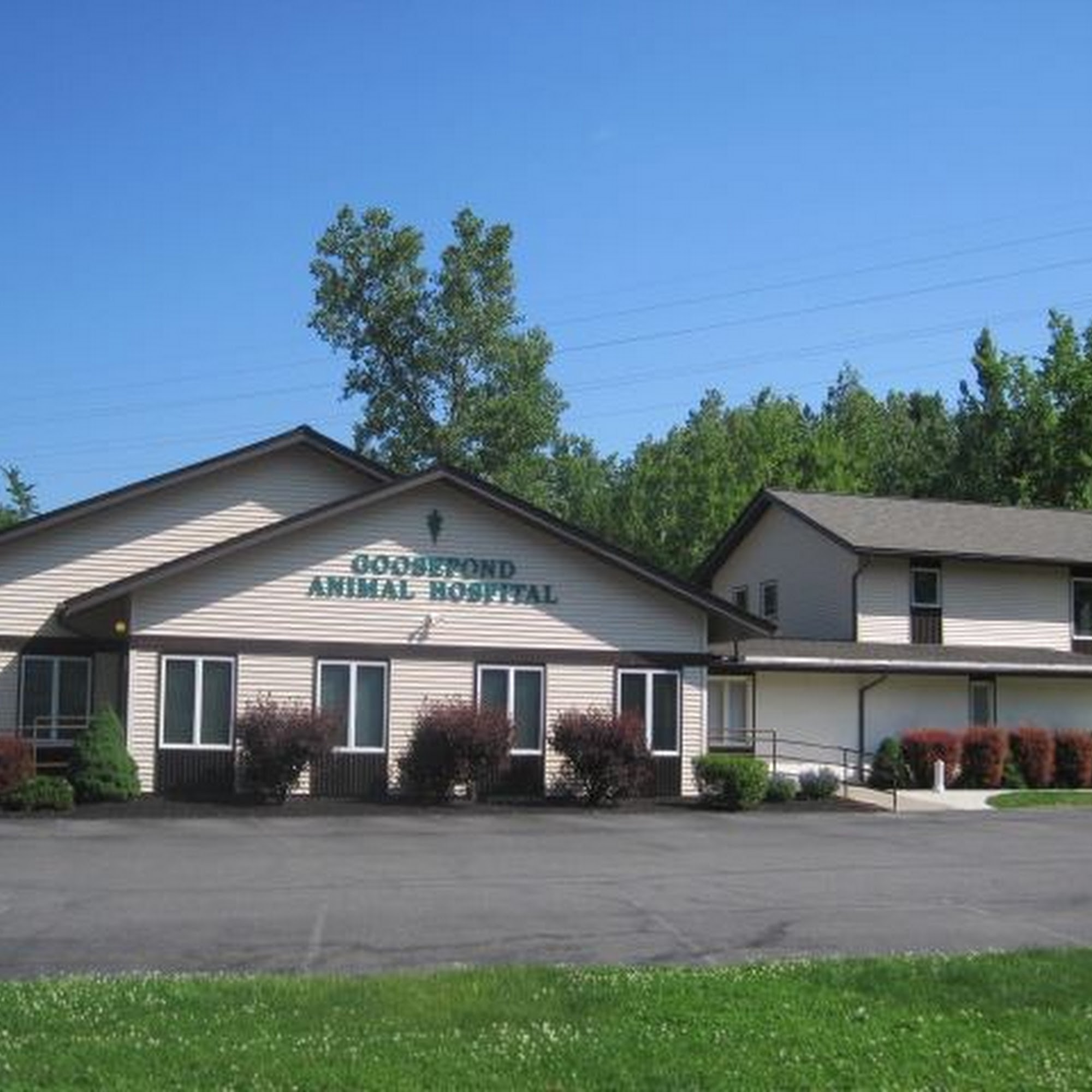 Goosepond Animal Hospital Monroe