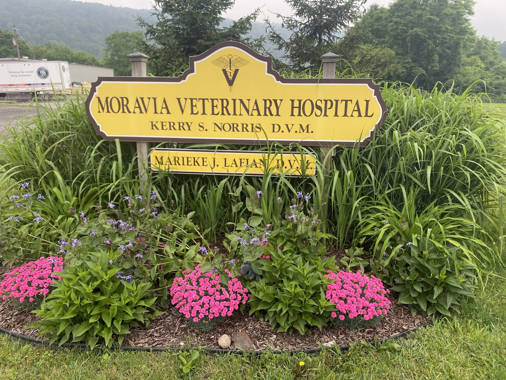 Moravia Veterinary Hospital Moravia