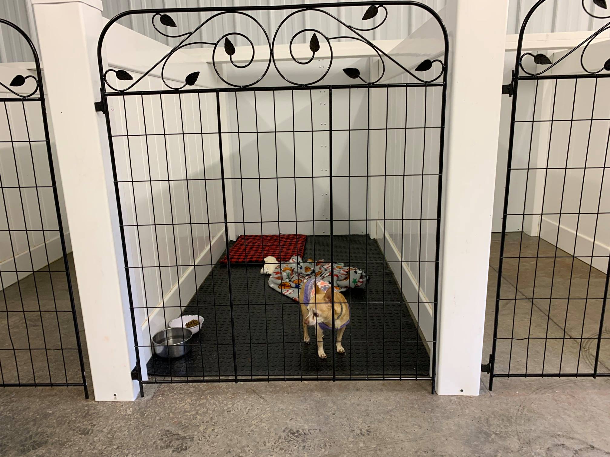 Casey's Kennels