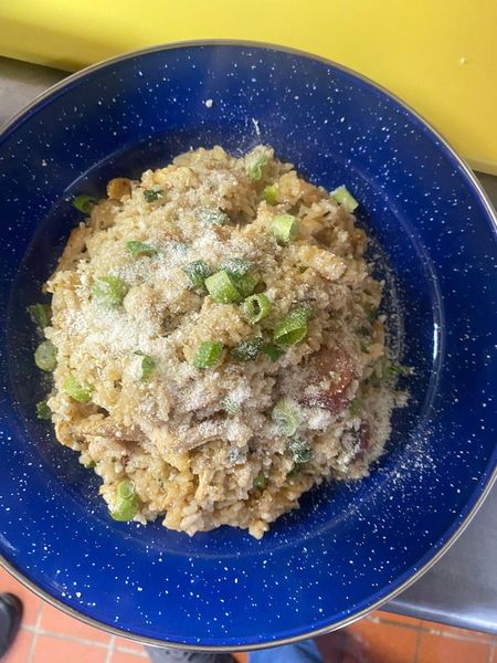 The RDI Bar & Road Kill Grill Napanoch