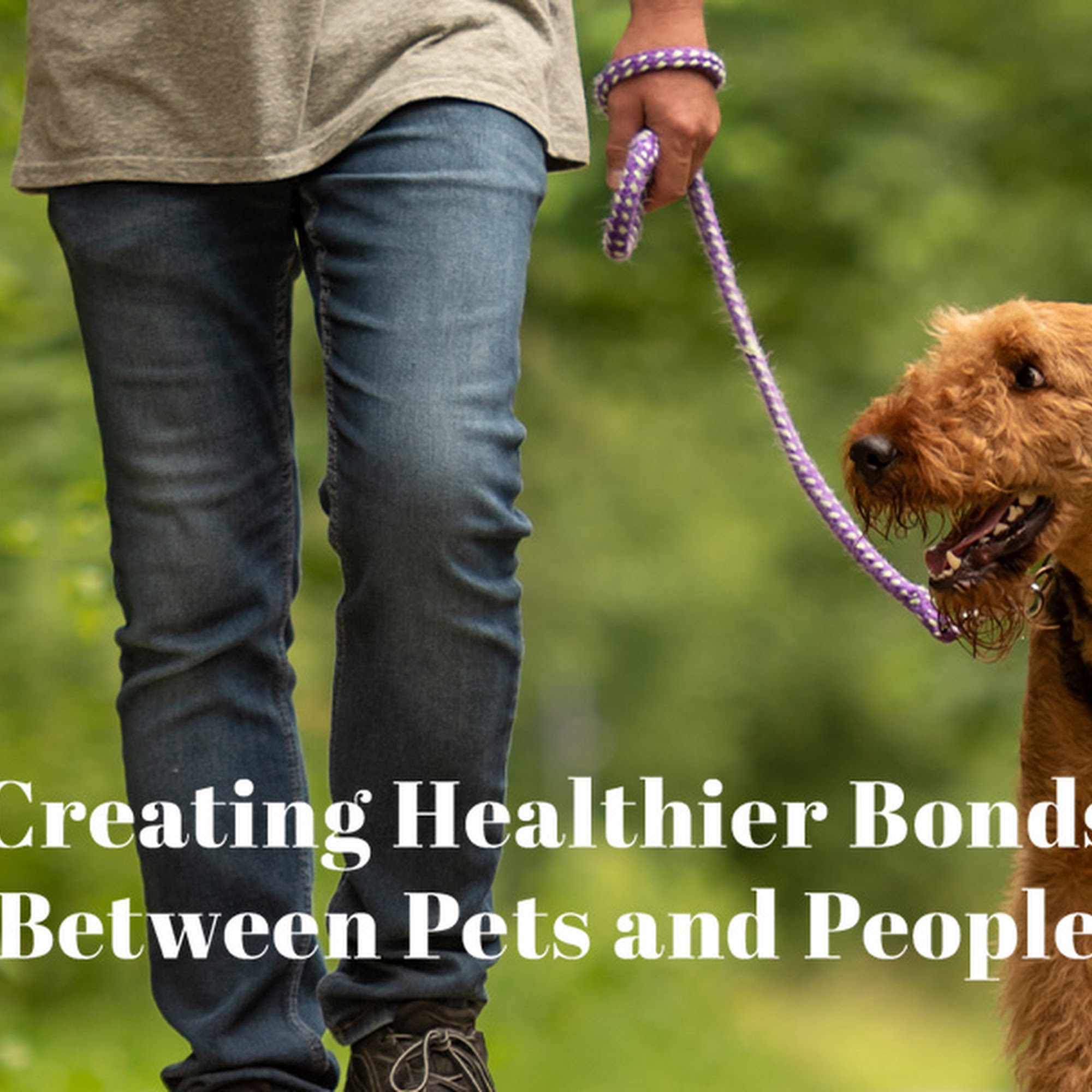 Nassau Veterinary Clinic Nassau