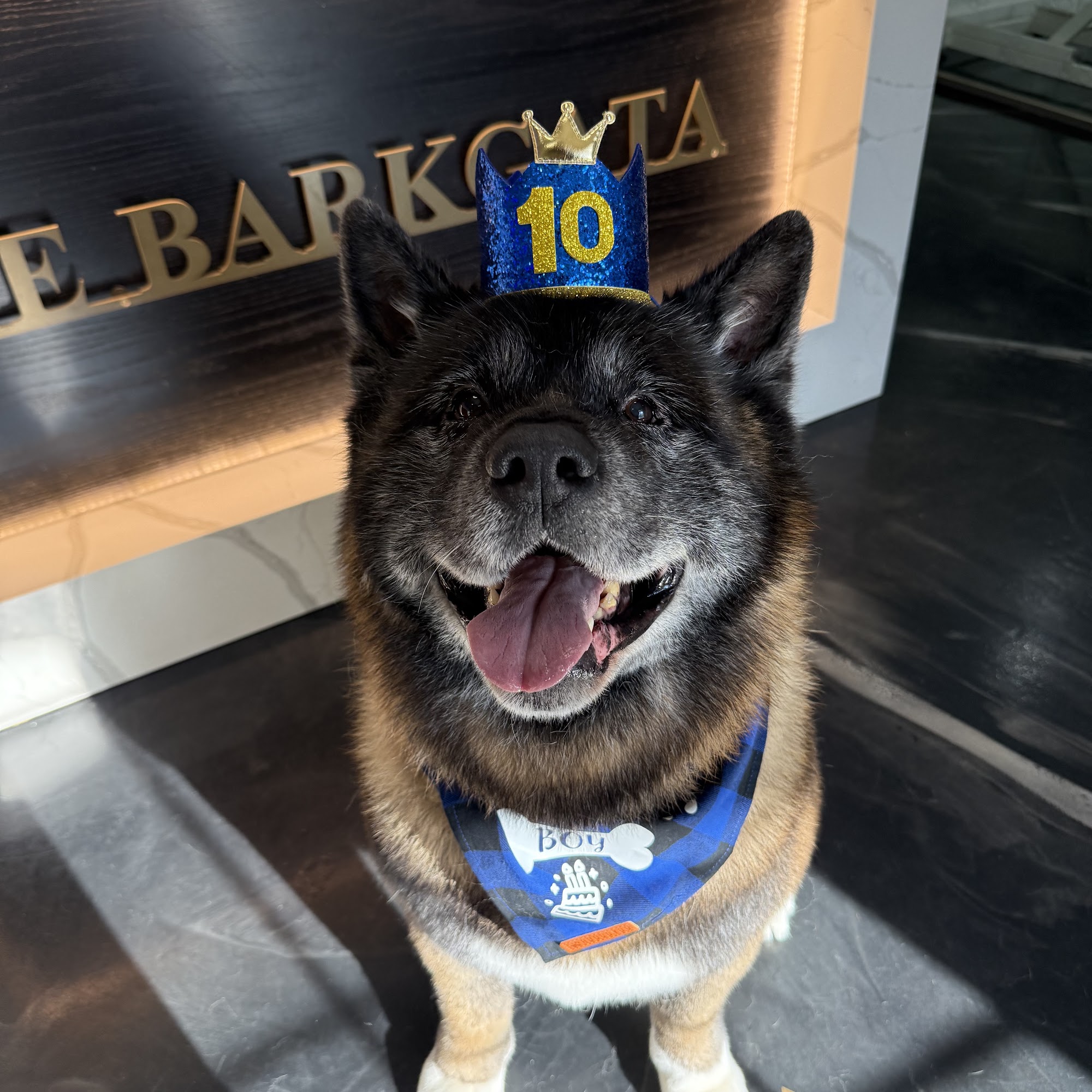 Barkgata Luxury Dog Hotel, Daycare & Spa Nesconset