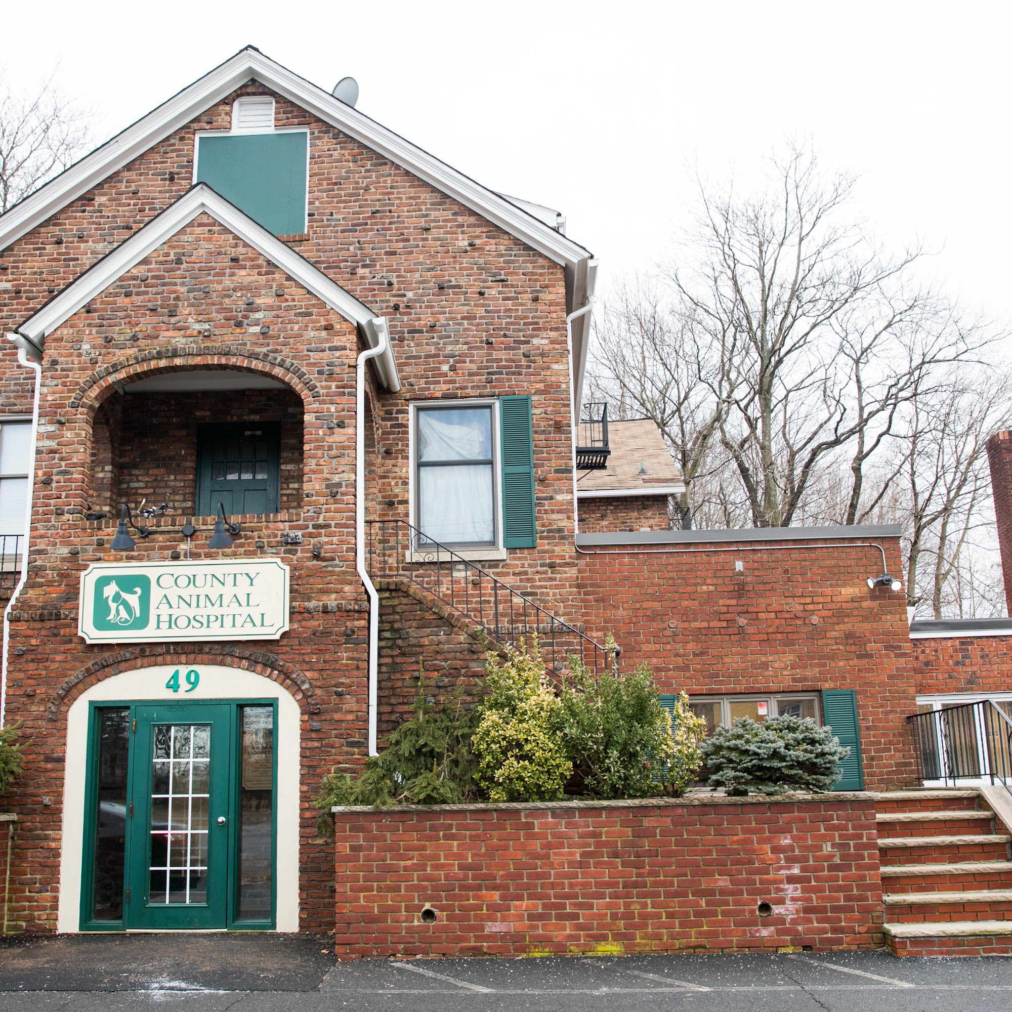 County Animal Hospital New City