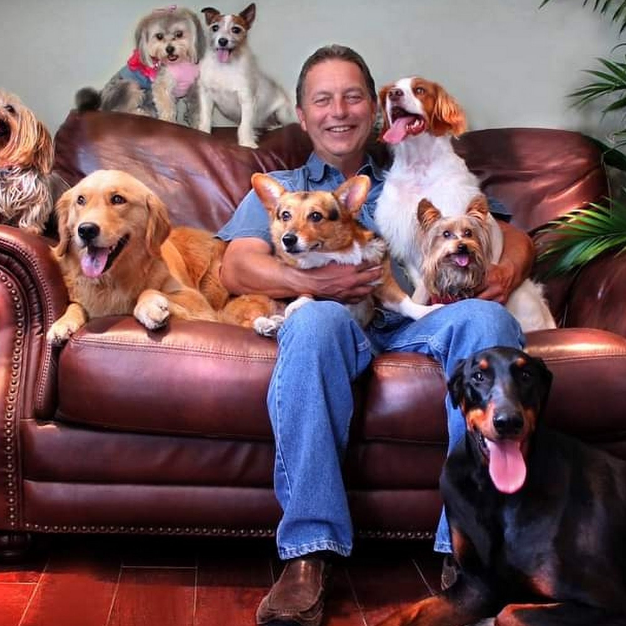 Rutgers Creek Pet Resort New Hampton