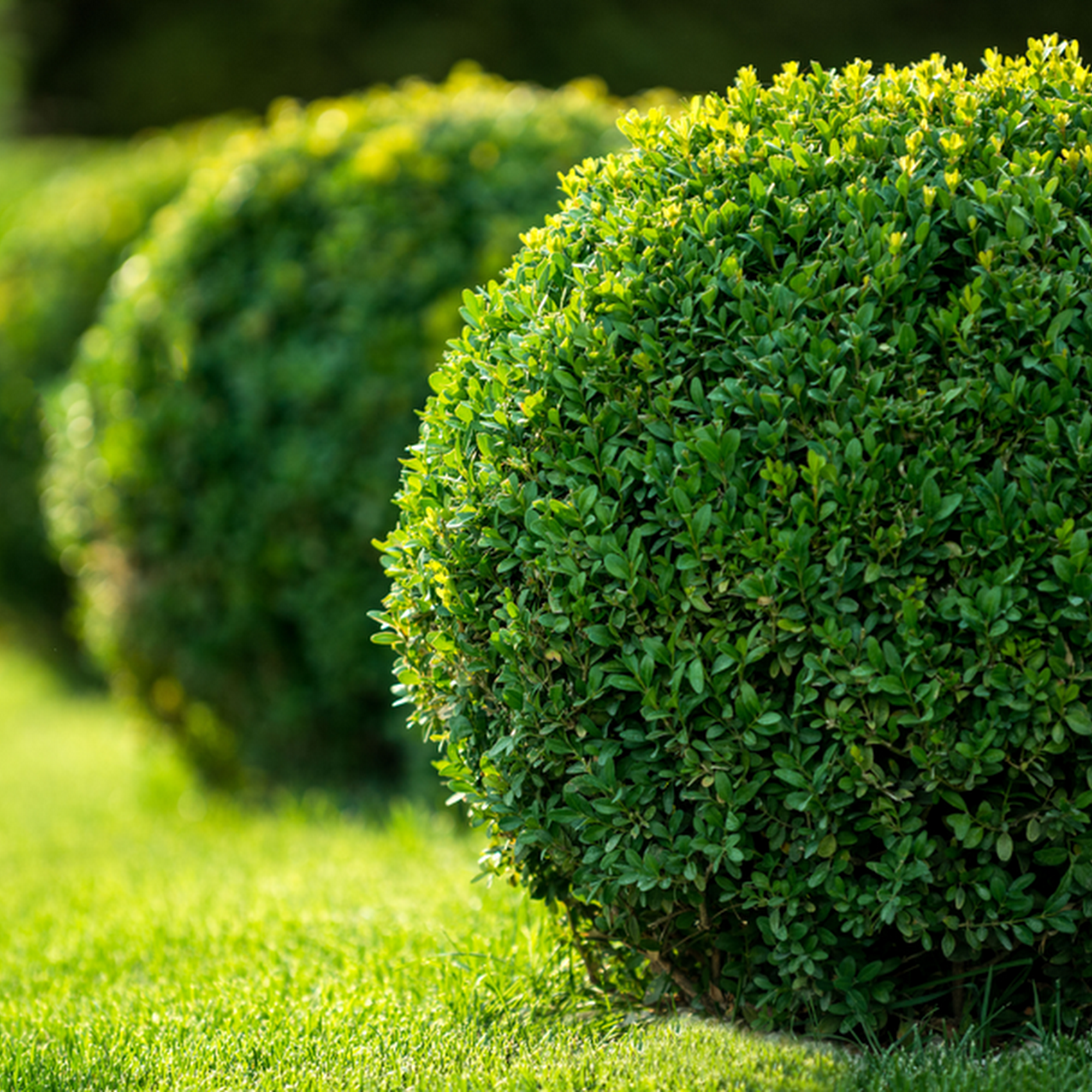 Landscape Impressions 13 Filomena Dr, New Hampton New York 10958