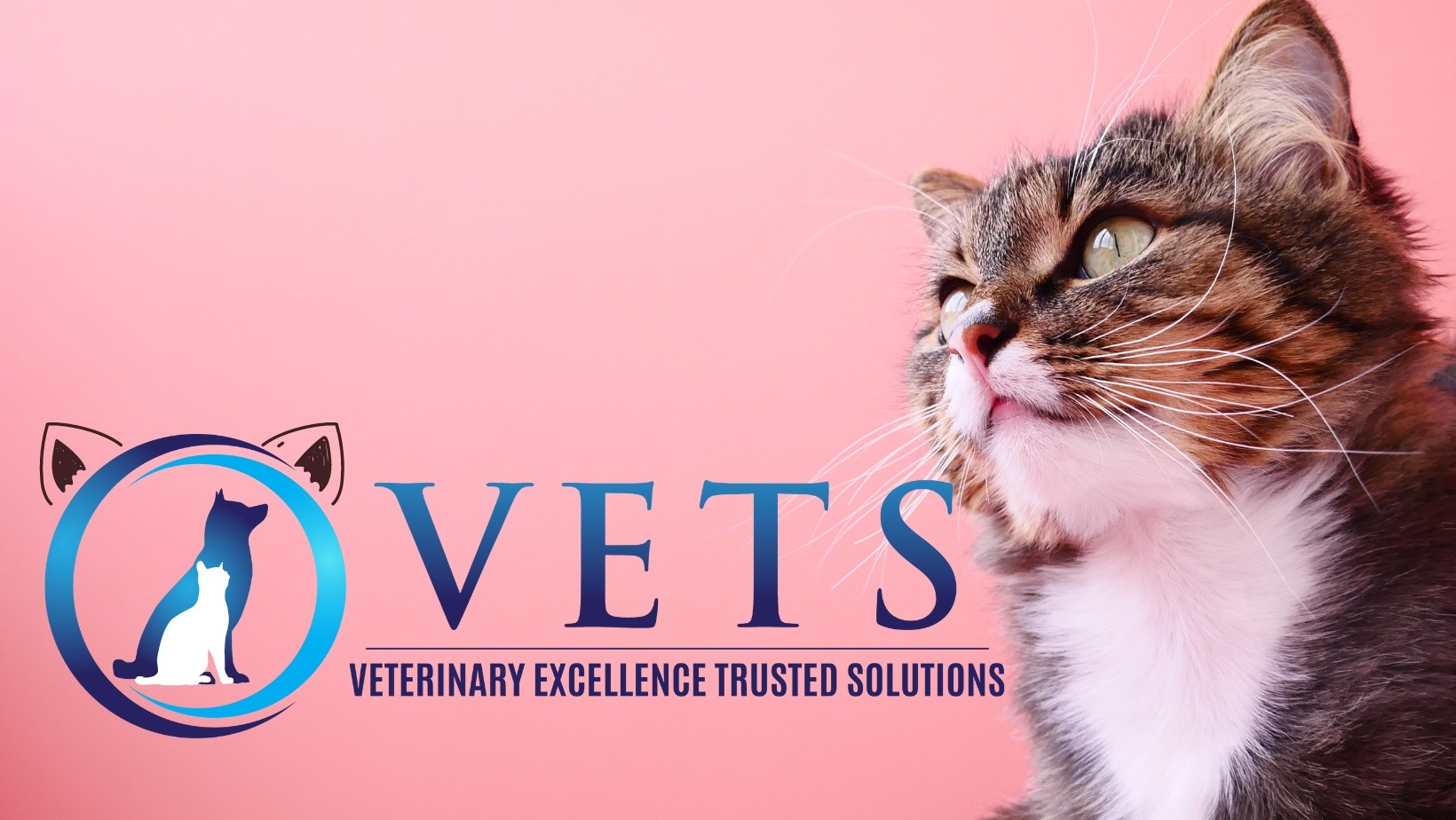 The Cat Doctor New Hyde Park