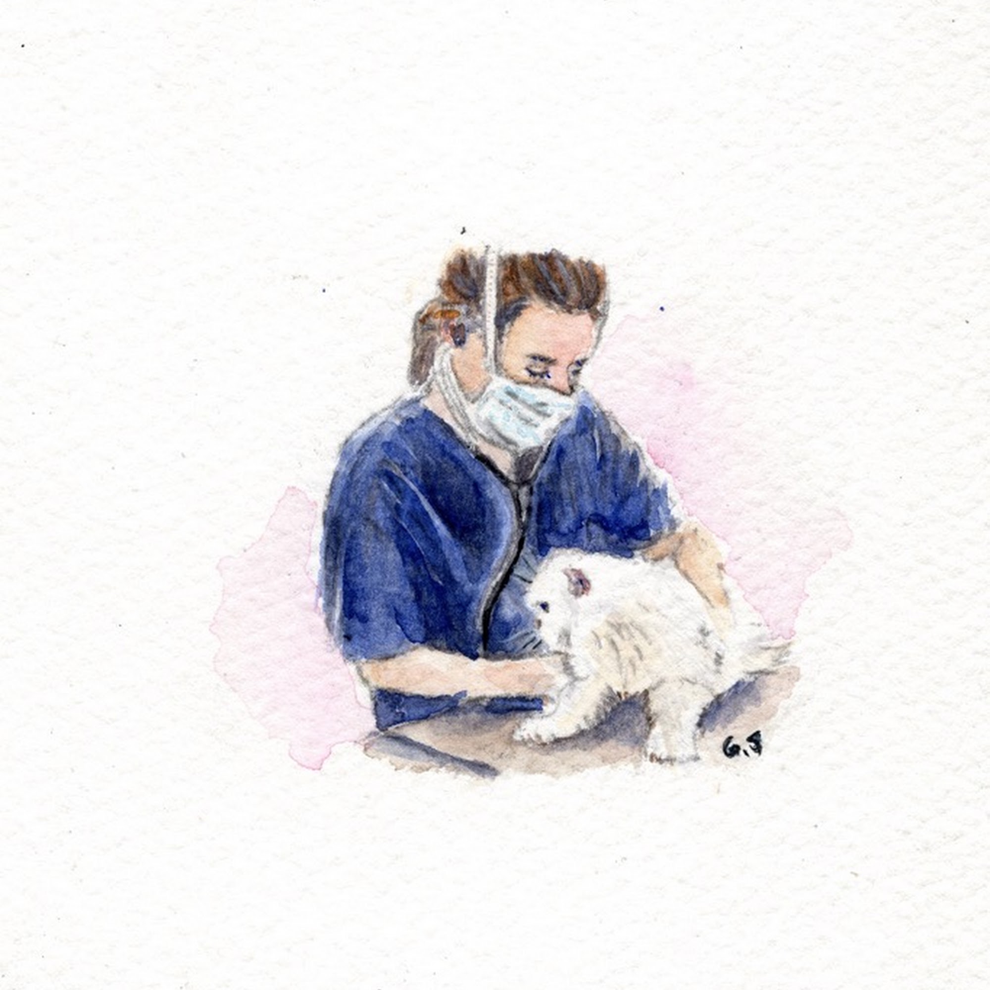 The Cat Doctor New Hyde Park