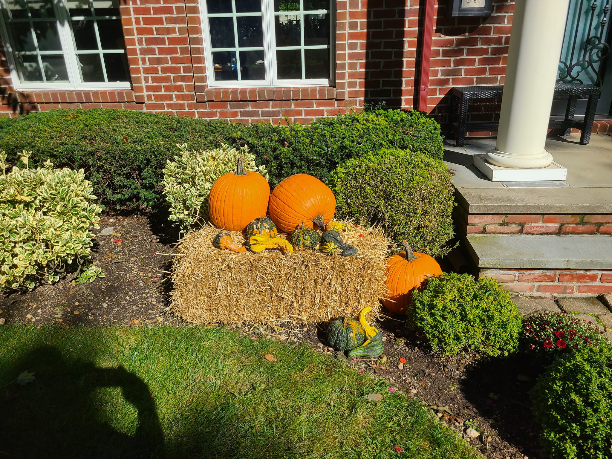 Hines & Zaffarese Landscaping