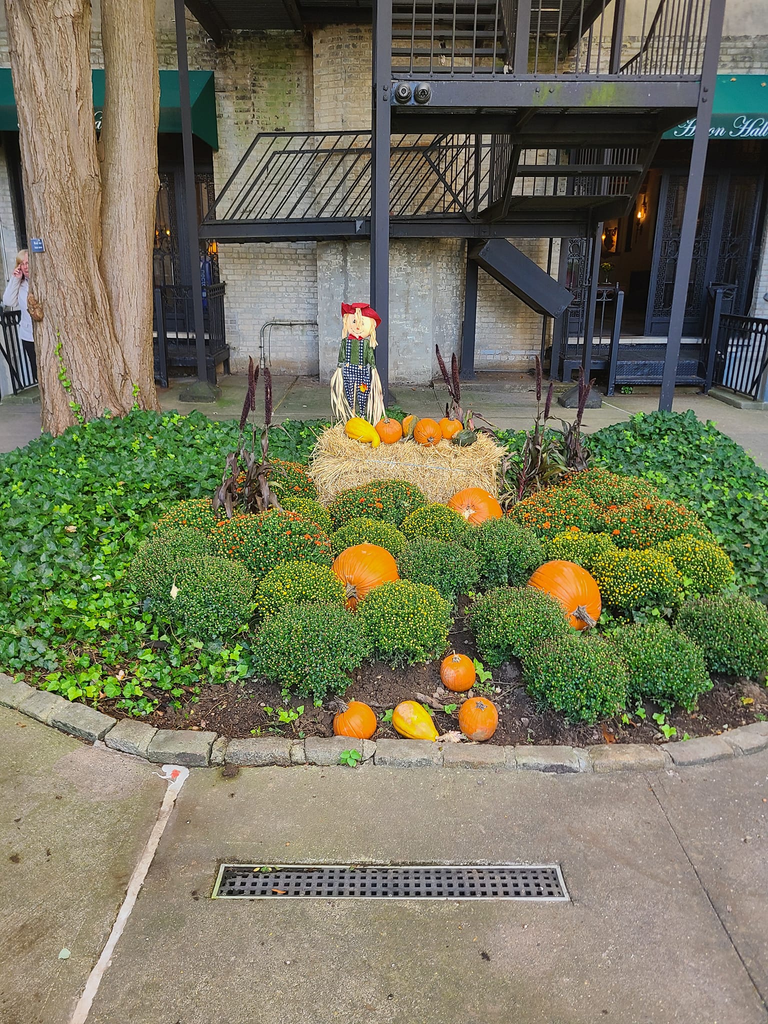 Hines & Zaffarese Landscaping