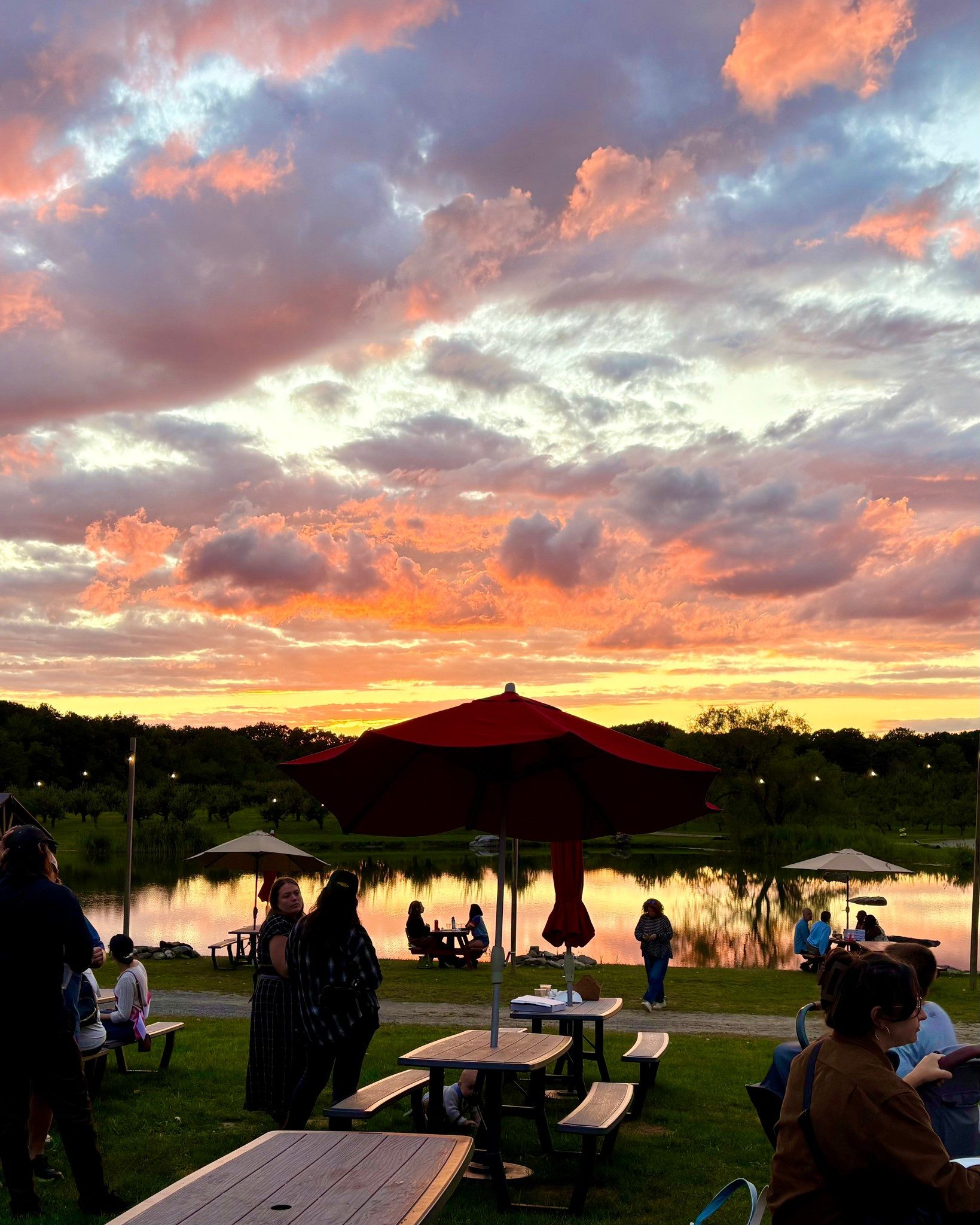 Twin Star Orchards New Paltz