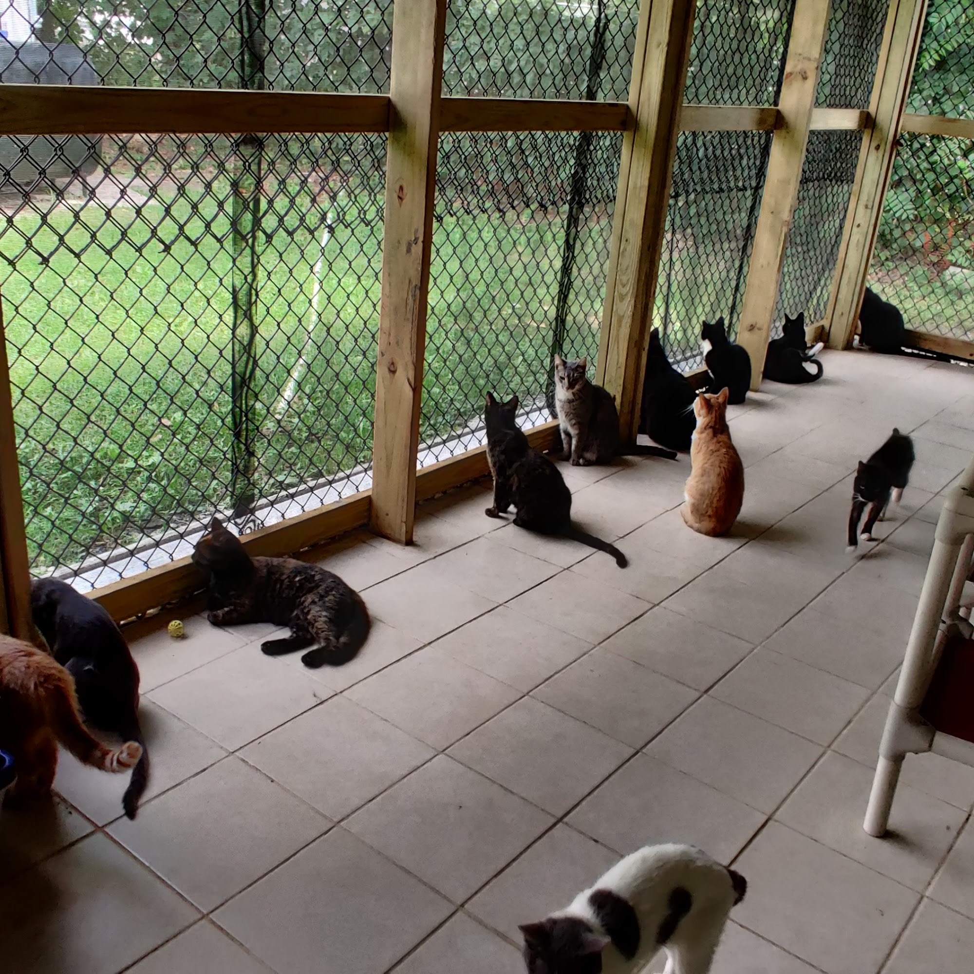 Hudson Valley SPCA New Windsor