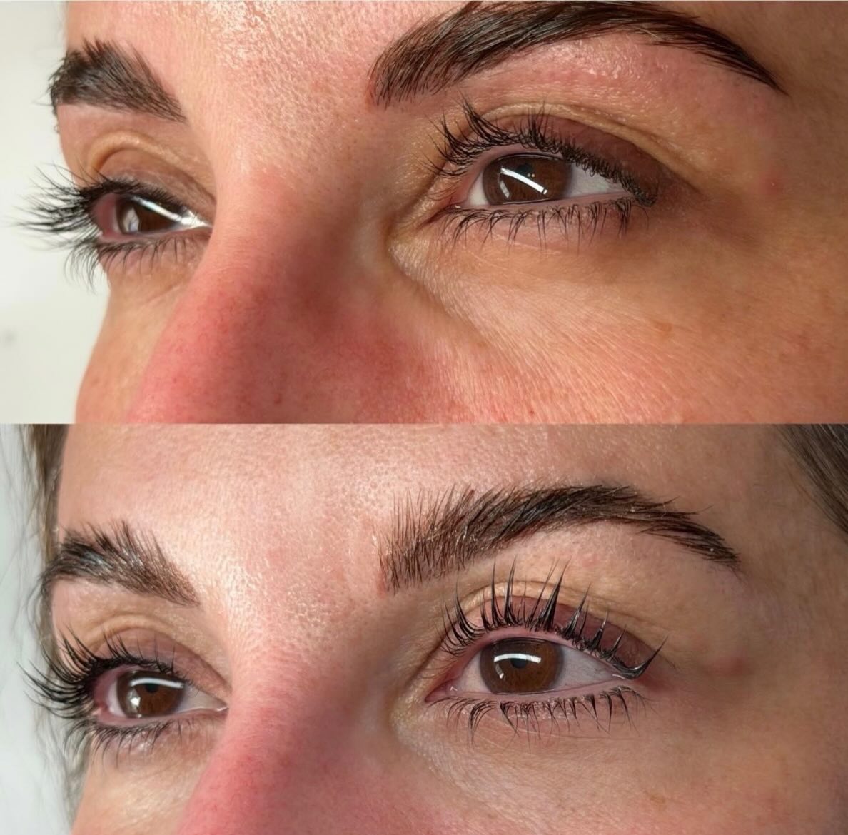 Society of Lash