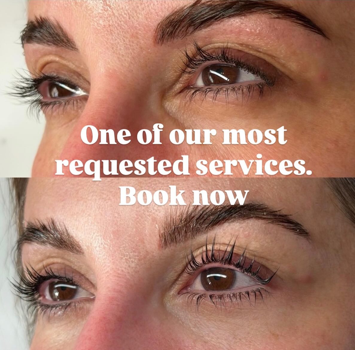 Society of Lash