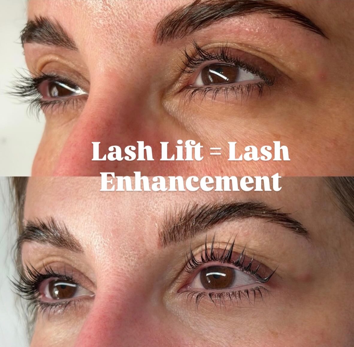 Society of Lash