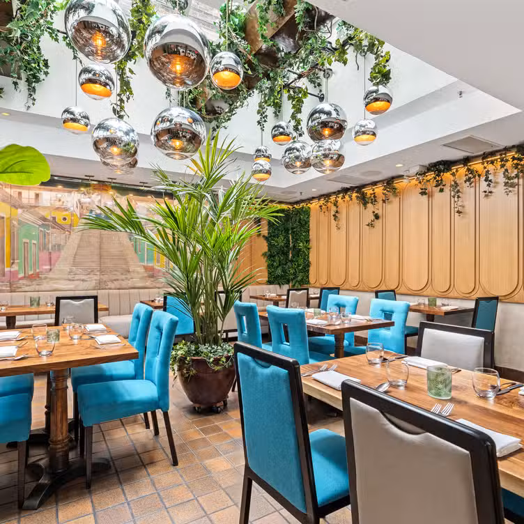 Photo credit: opentable