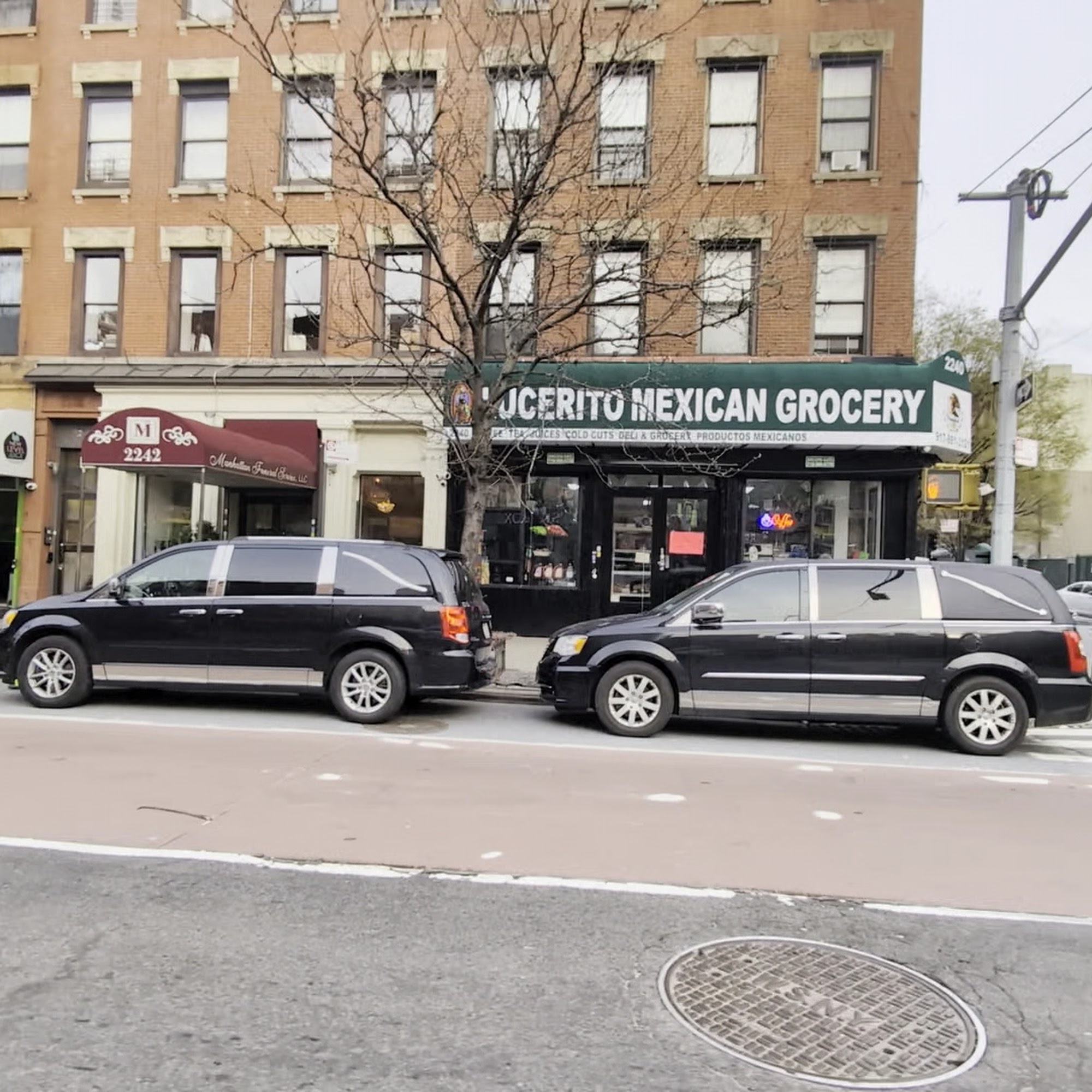 Oliver's Dog & Cat Clinic New York