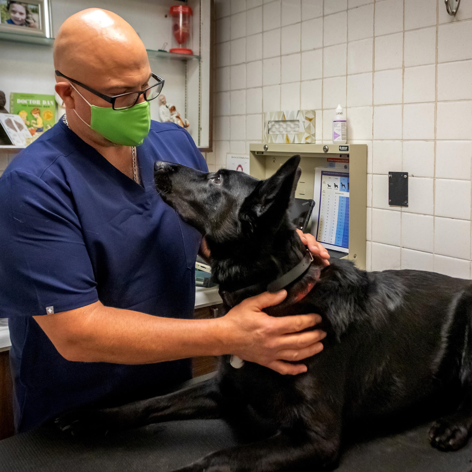 Murray Hill Pet Hospital New York