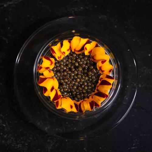 Photo credit: michelin