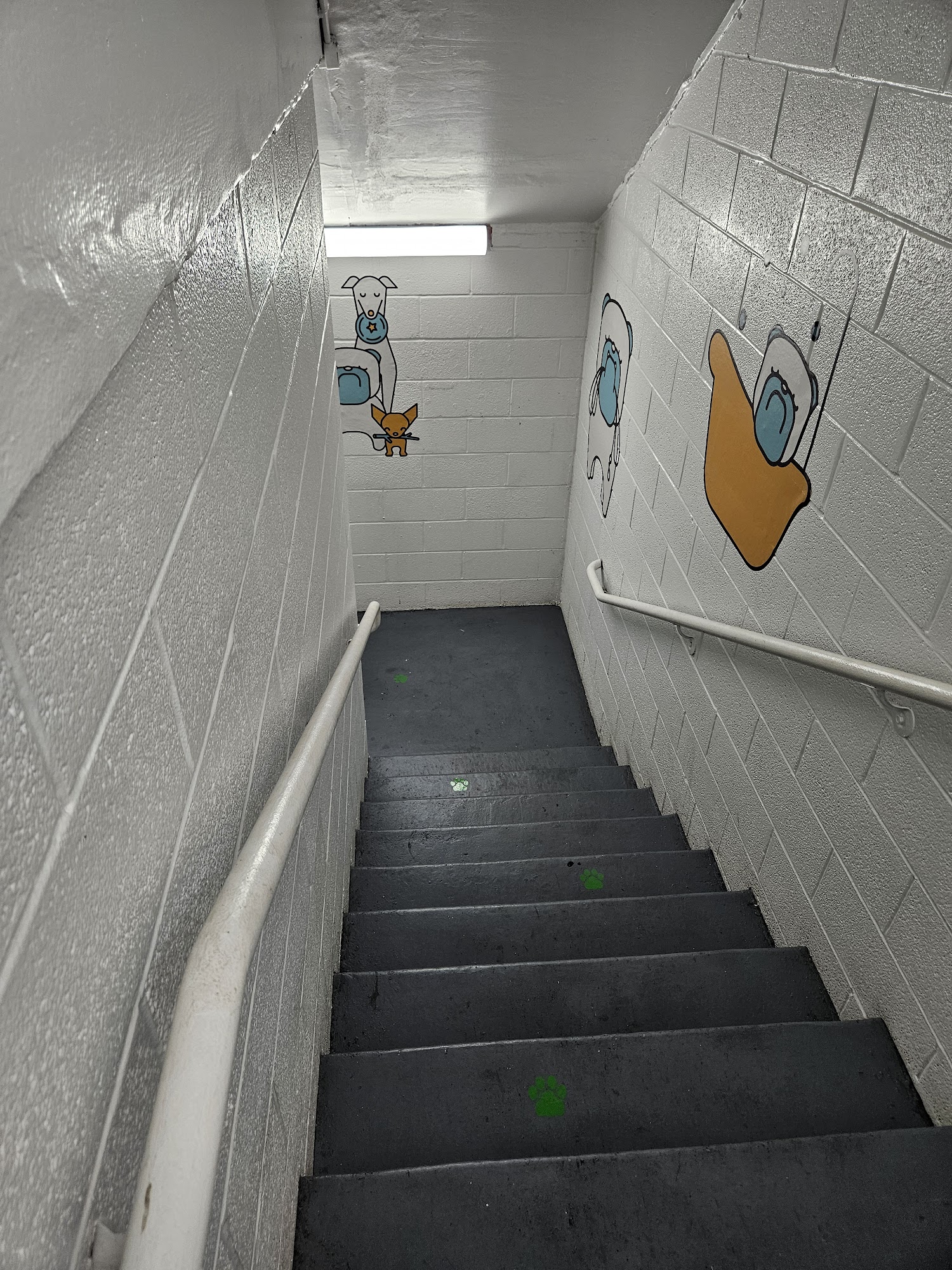 Throw Me A Bone Inc. / Dog Daycare, Grooming and Boarding New York