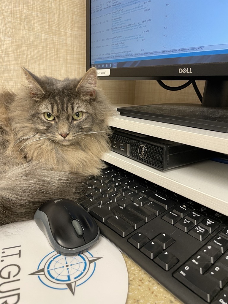 Heart of Chelsea Veterinary Group - Lower East Side New York