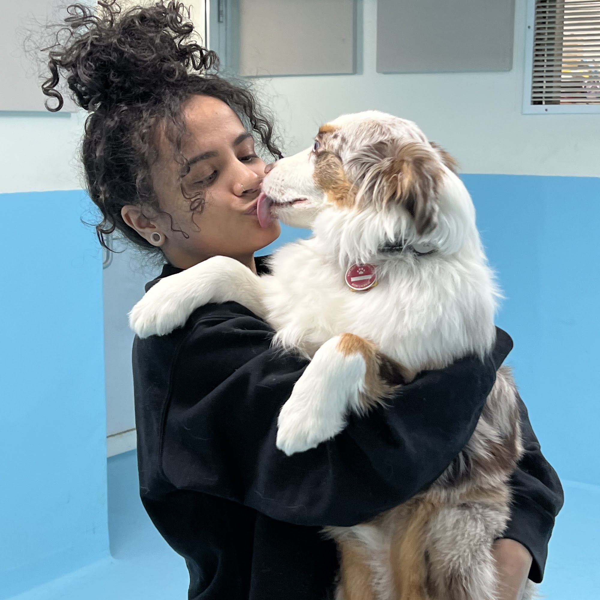 Biscuits & Bath - Yorkville New York