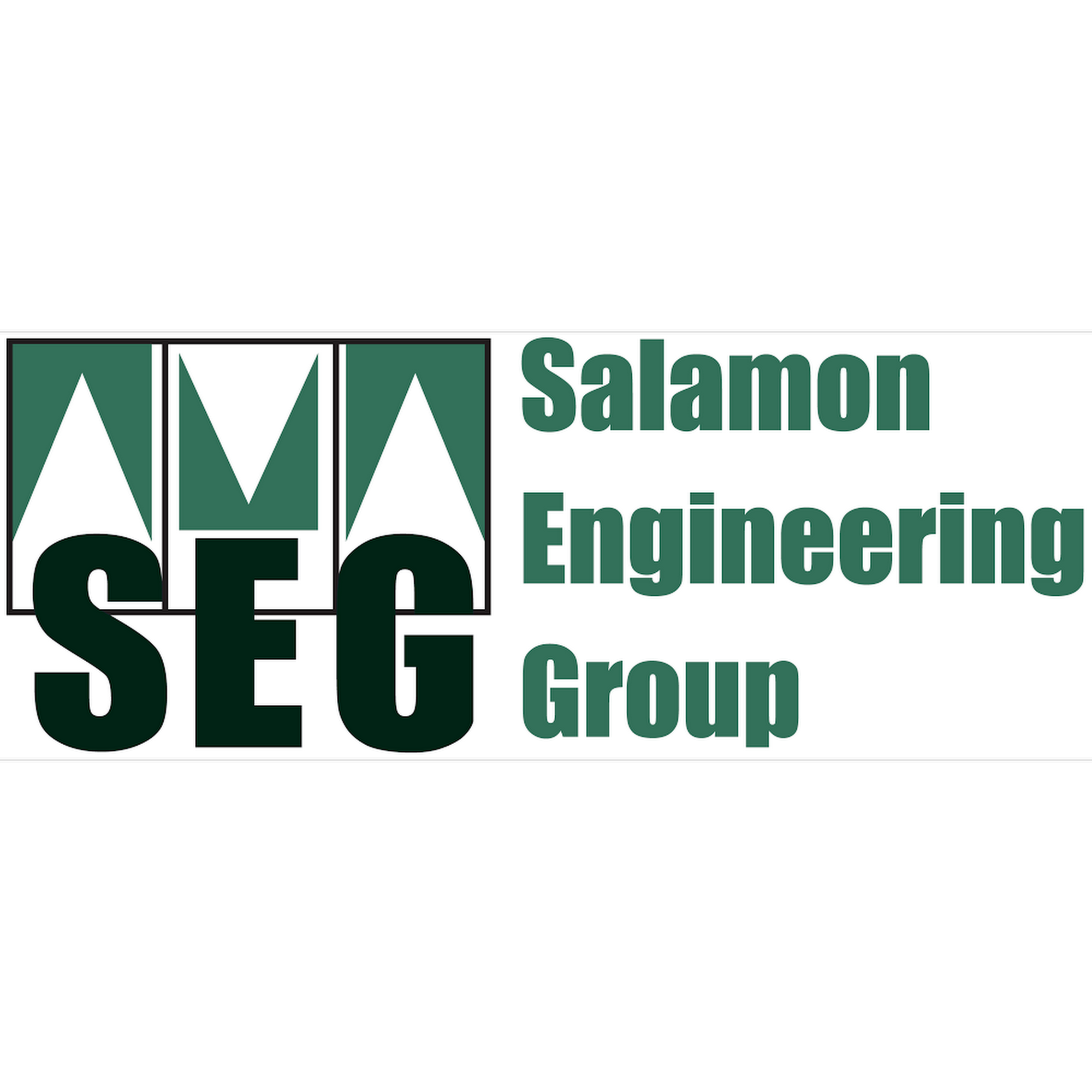 Salamon Engineering Group