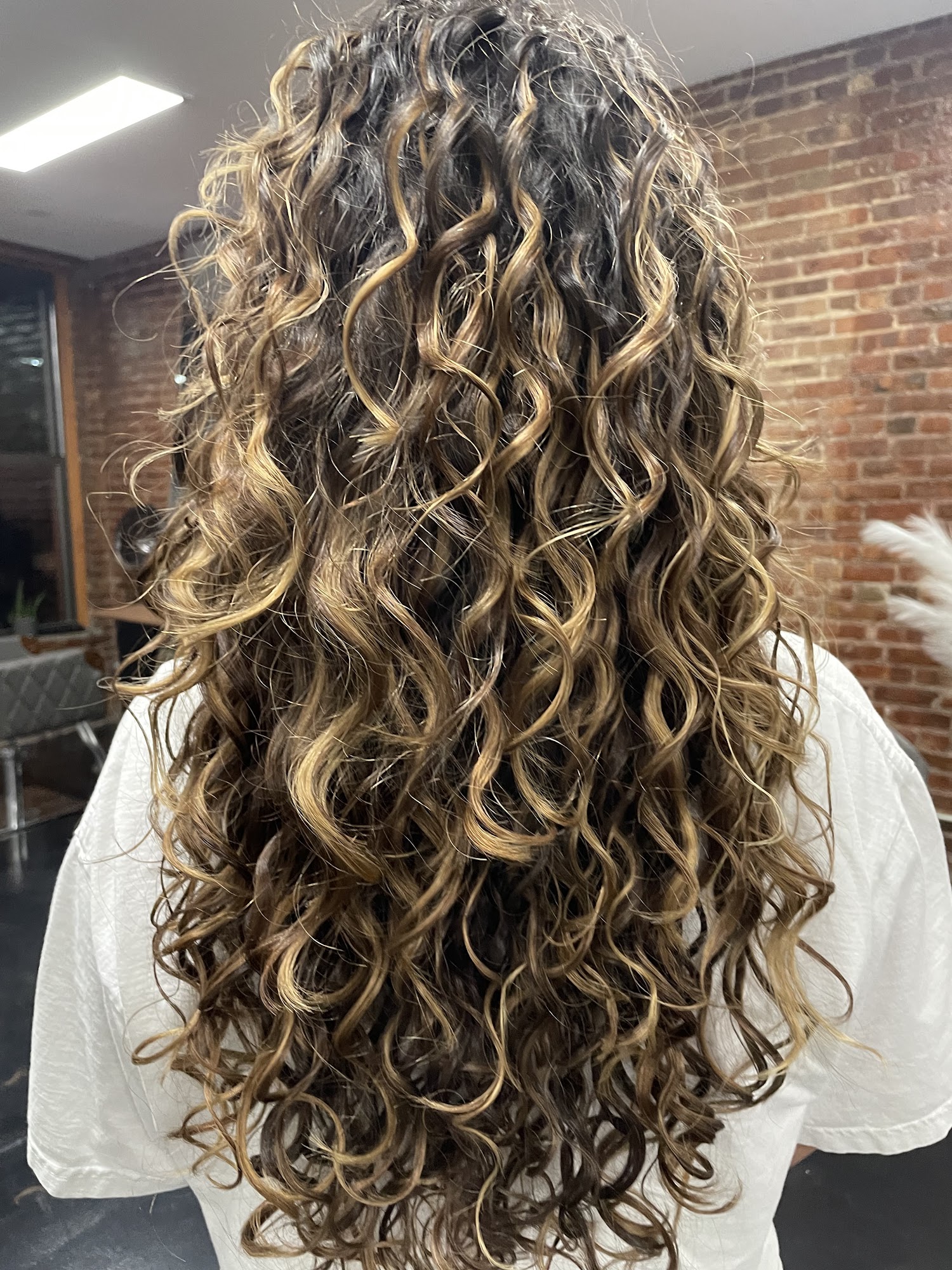 SV Curls