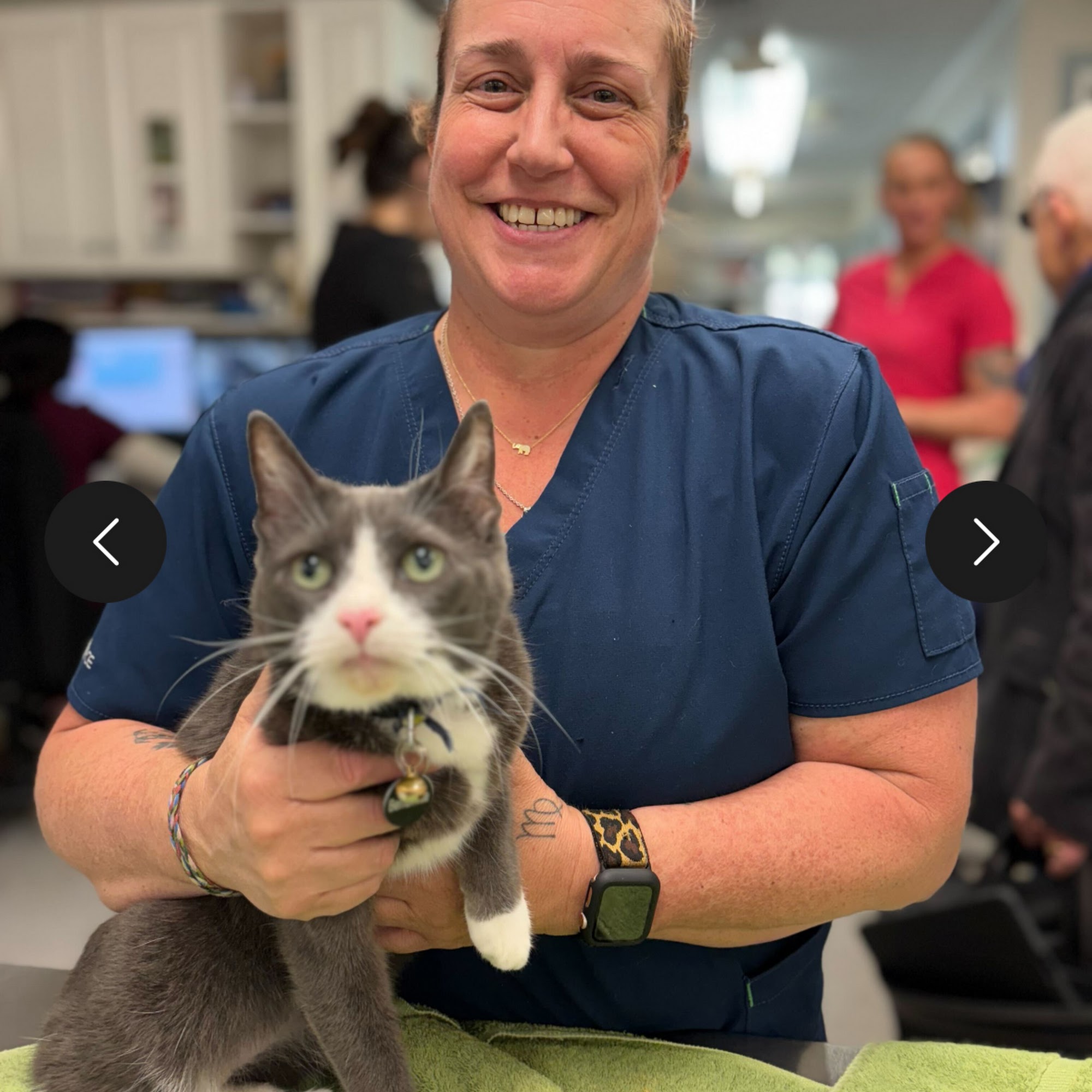 Newburgh Veterinary Hospital Newburgh