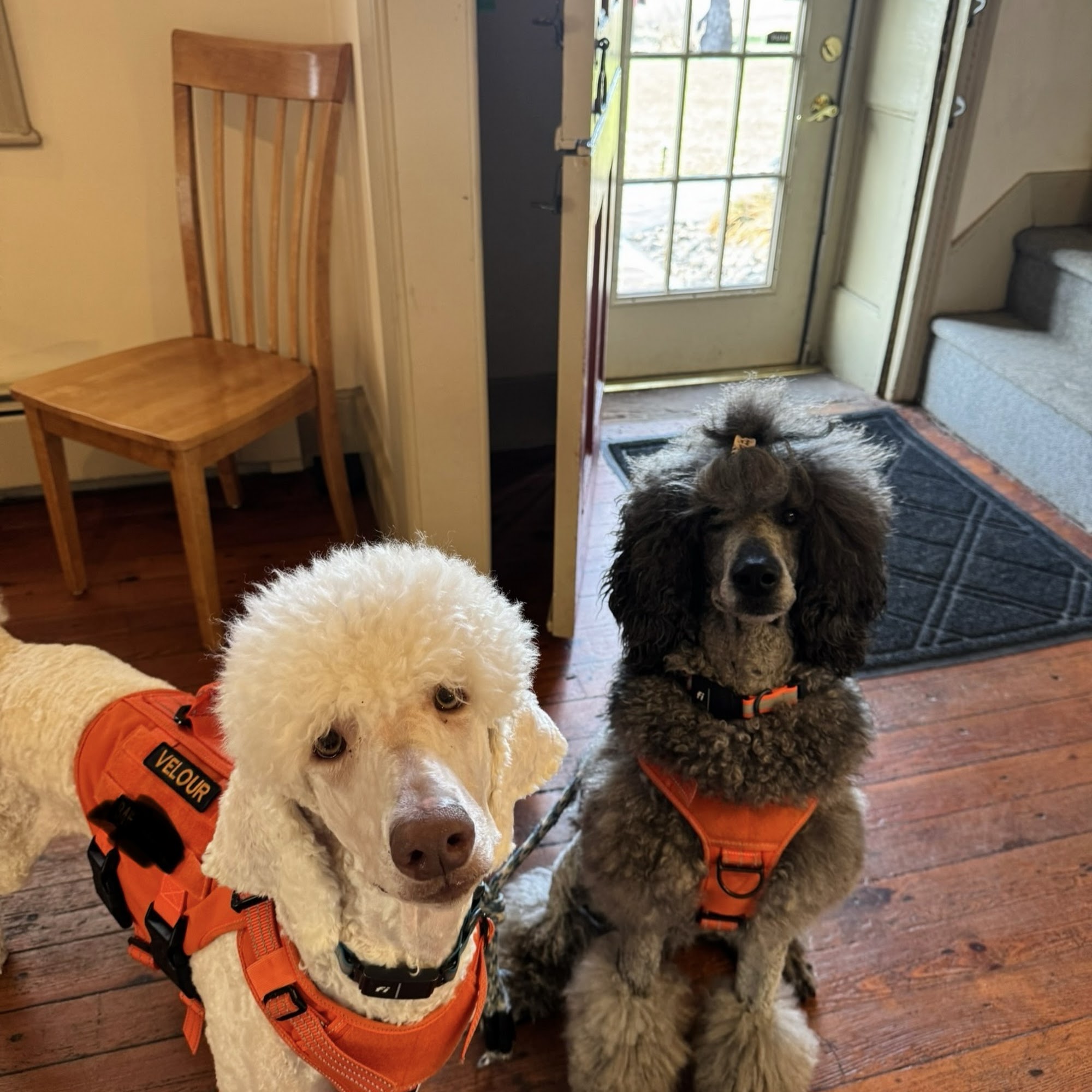 Stone Cottage Veterinary Hospital Newburgh