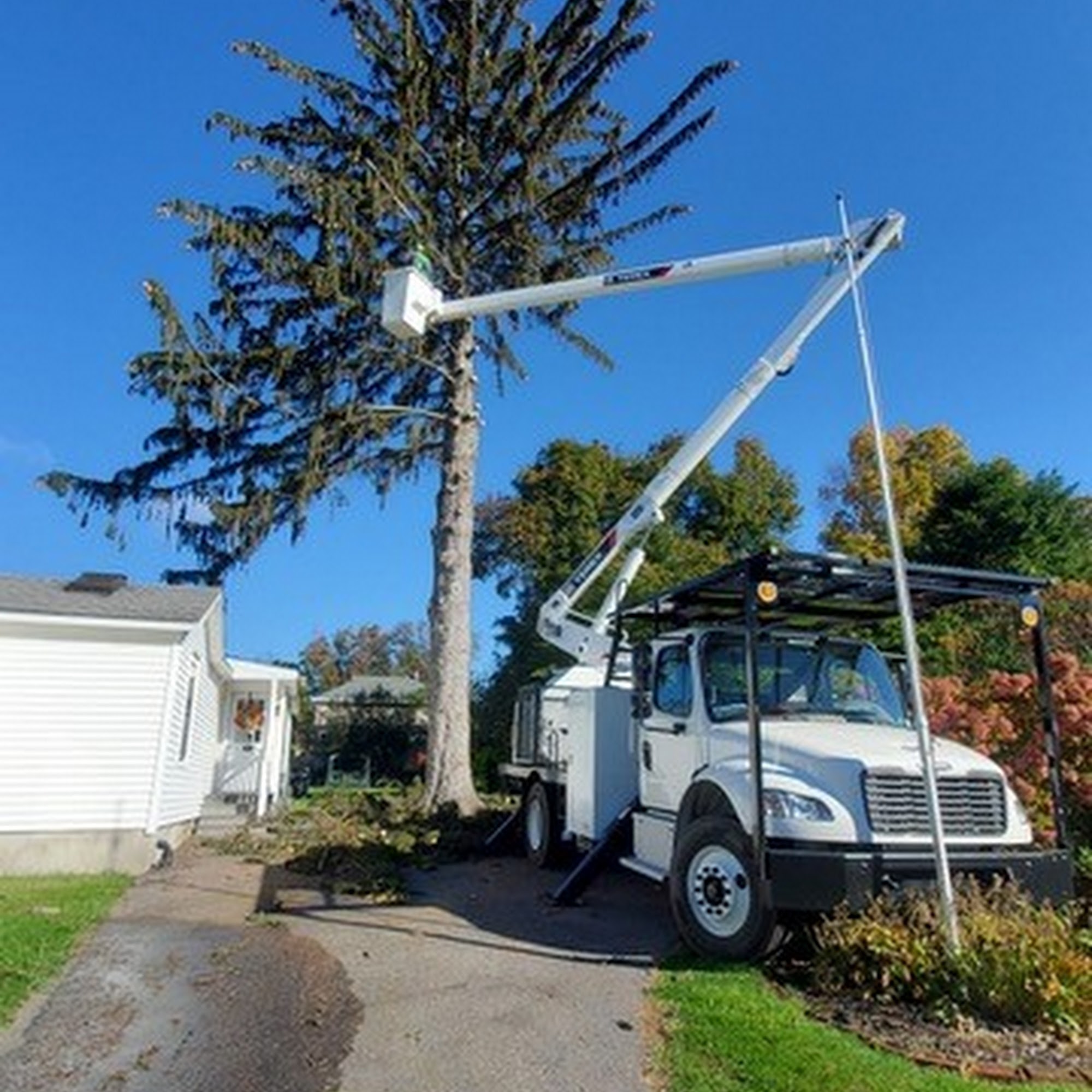 4 Seasons Tree Service 47 Sloane Rd, Newburgh New York 12550