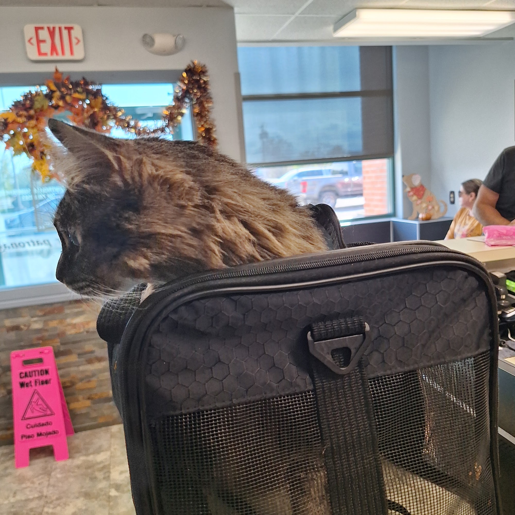 Dr. Mike's Furry Friends Small Animal Hospital Niagara Falls