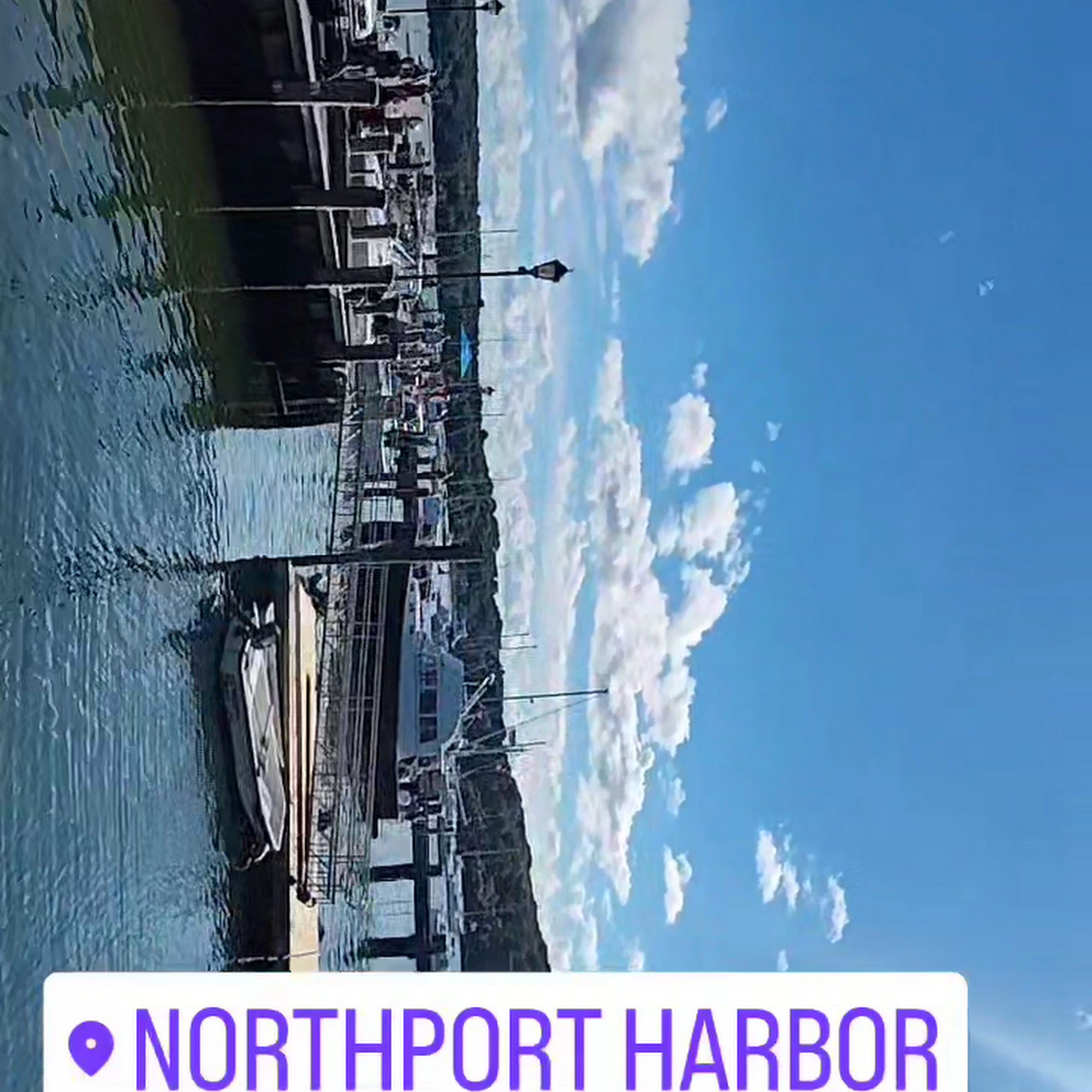 Feed and Grain Northport