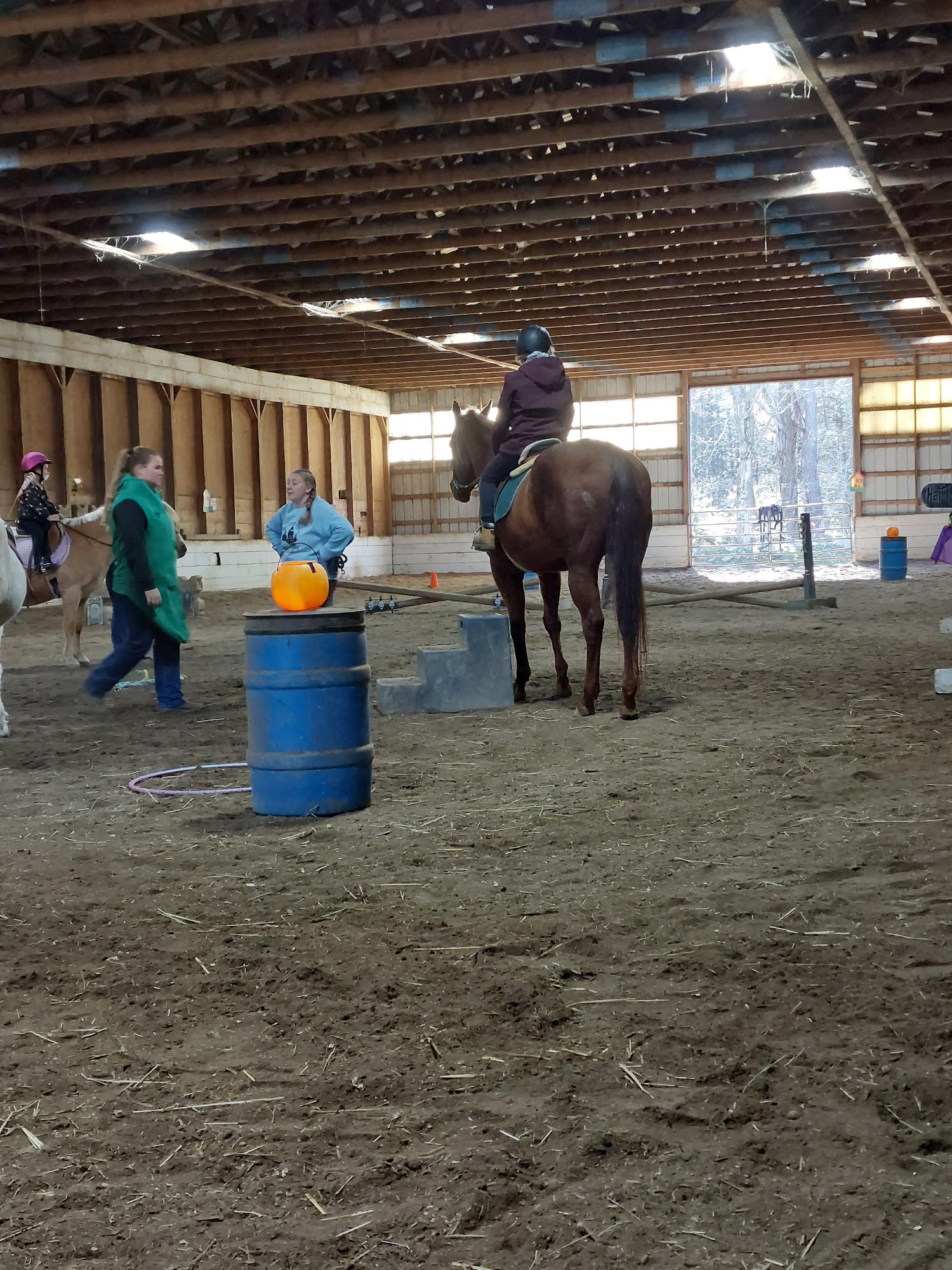 Hidden Ponds Norwich