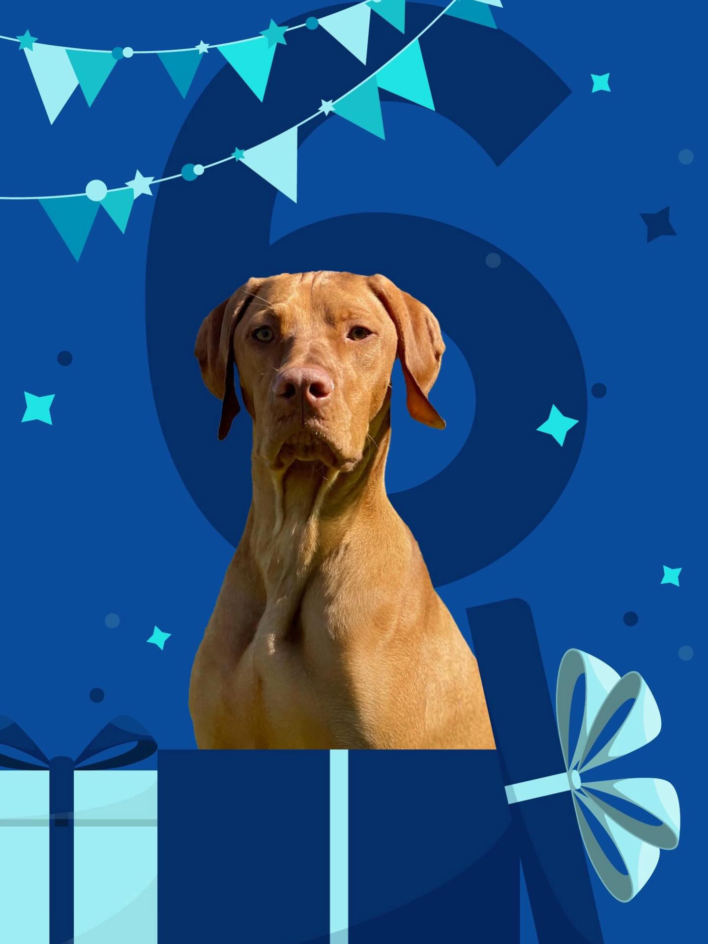 Papaw's Dog House Nyack