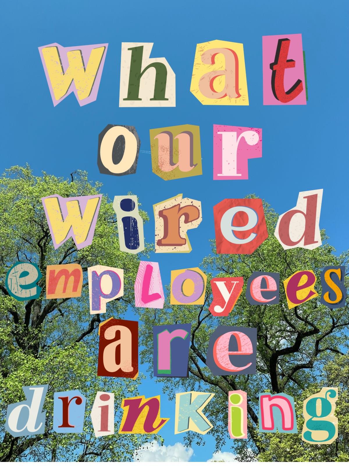 Wired Coffee House Oceanside