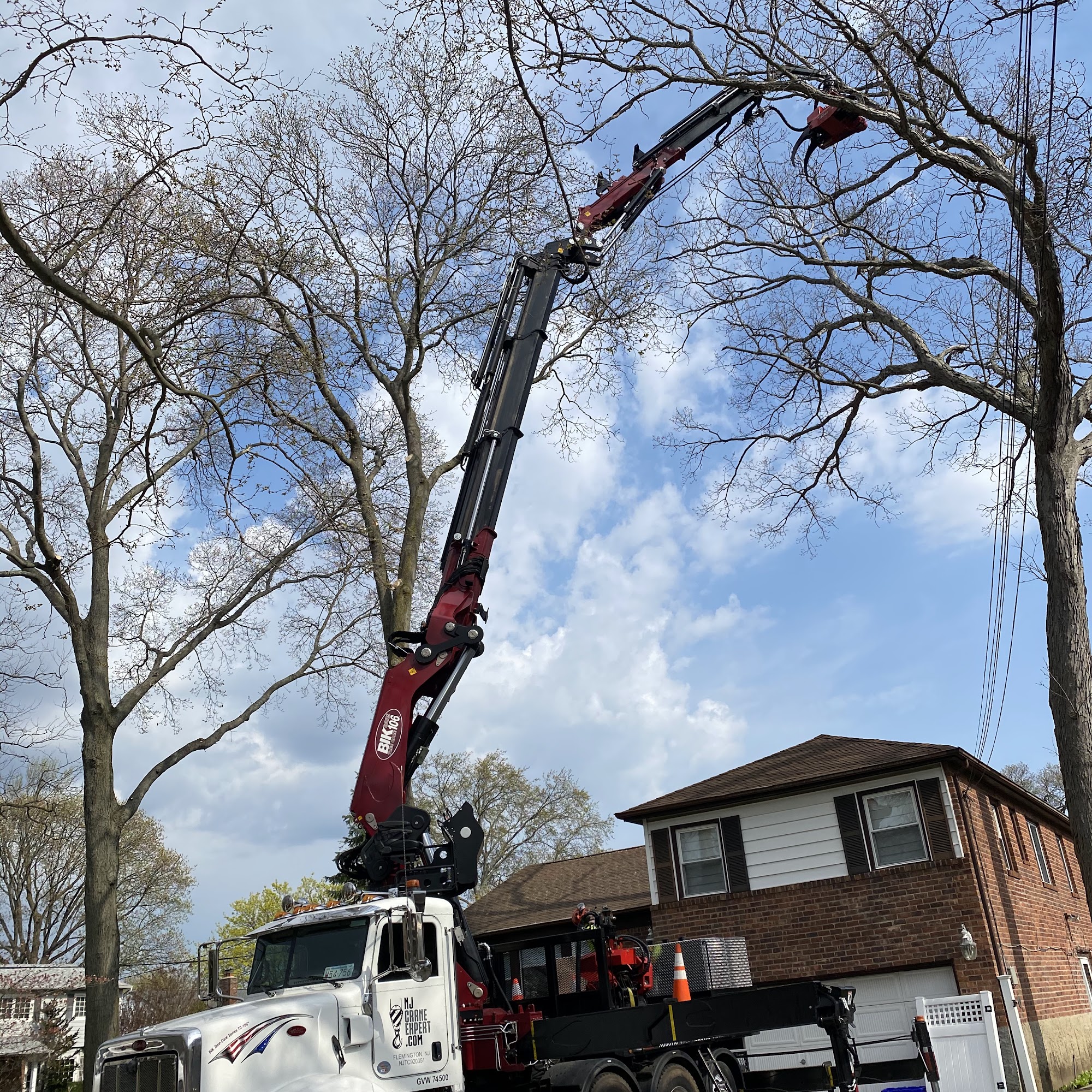 Ramalho Tree Service 2489 Eileen Rd, Oceanside New York 11572