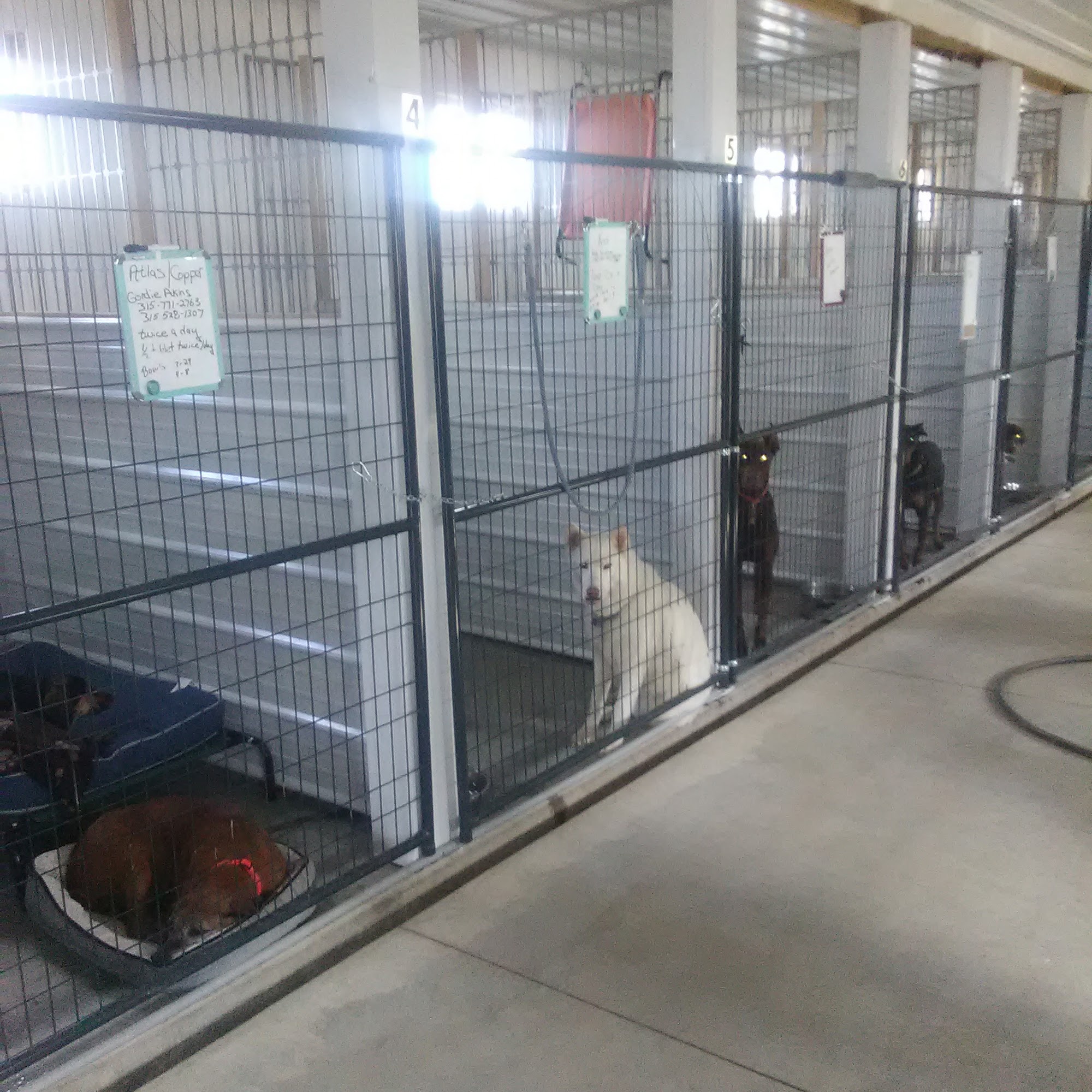 Joneseys K9 Kennel Ogdensburg