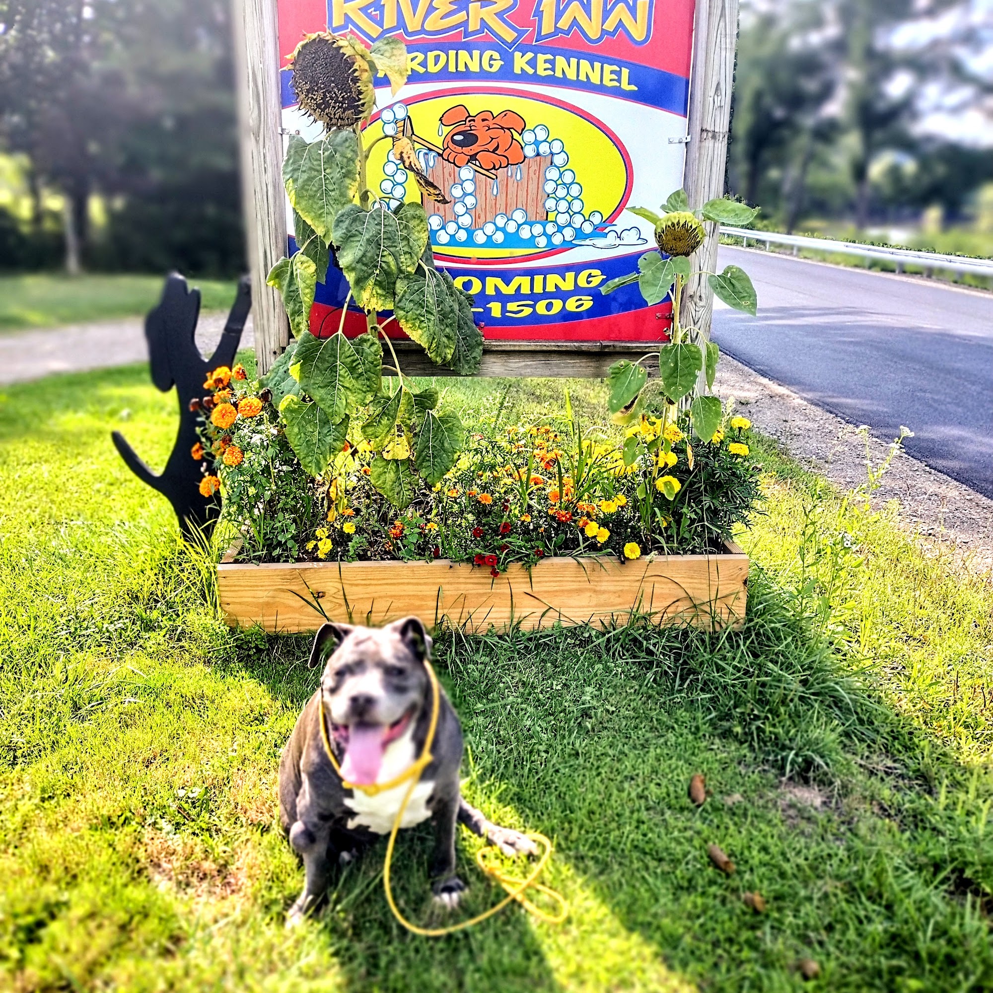 Howl-Iday River Inn Olean