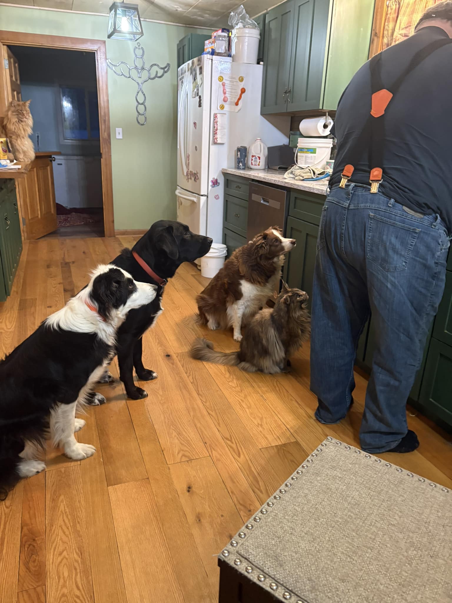 Howl-Iday River Inn Olean