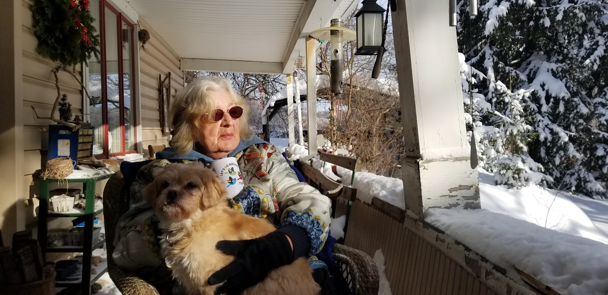 Community Veterinary Center Oneonta