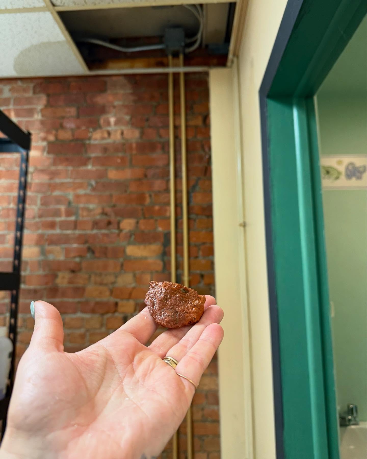 Hair of the Dog Oneonta Oneonta